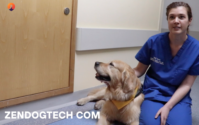 zendogtech com